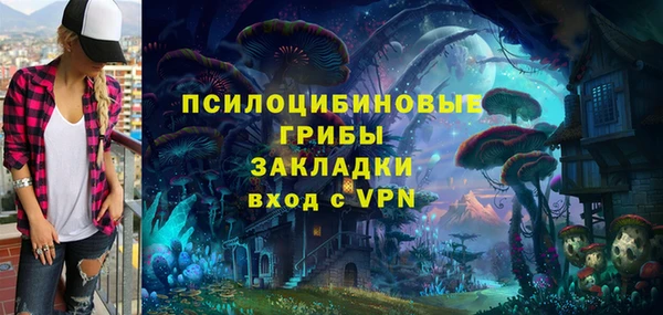 первитин Белоозёрский
