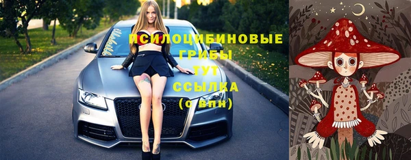 первитин Белоозёрский