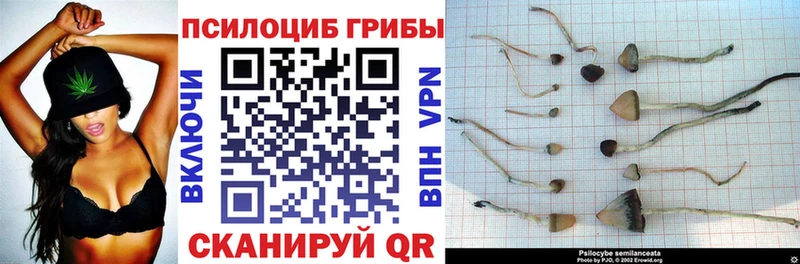 Псилоцибиновые грибы Magic Shrooms  что такое   Баксан 